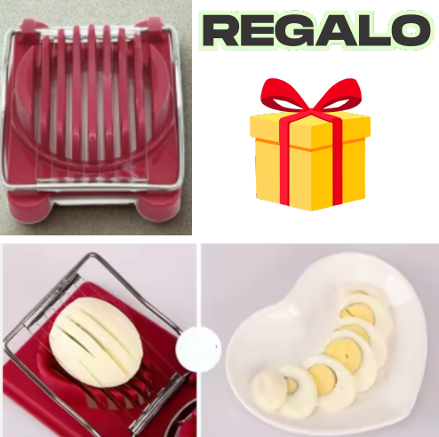 Dispensador de huevos automático